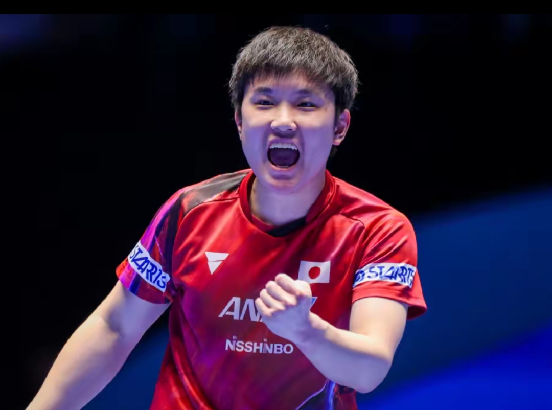 体系将为朗 体系将为朗