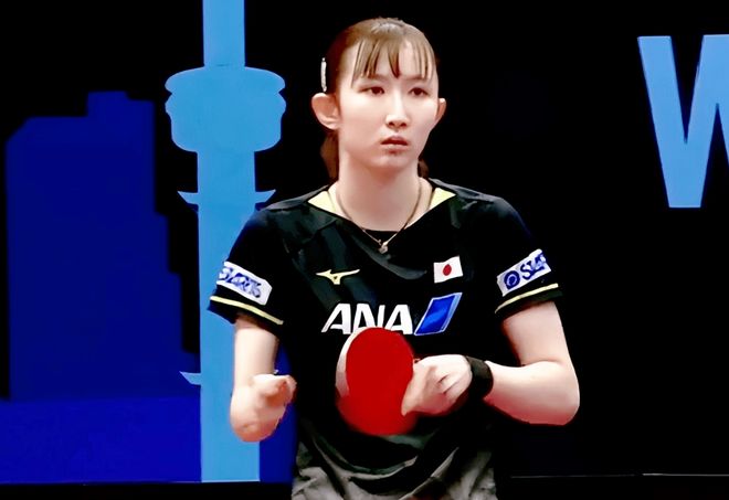 各个项目的 各个项目的